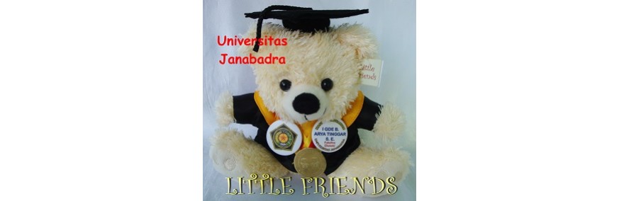 Boneka Wisuda Universitas Janabadra